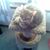 Jean Doty's profile image