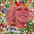 Deb Morant's profile image