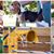 Colleen Tinlin's profile image