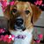Bec Jaggers's profile image
