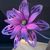 Karol Buchanan's profile image