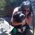 Debbie McMillan's profile image