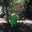 Srini Srisailan's profile image