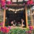 Murphy Hsiung's profile image