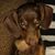 Rhonda Bryant's profile image