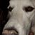 Jerry Johnson's profile image