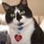 Bill Woloszyn's profile image