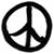 Peter Capper's profile image