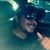 Enrique Leyva's profile image