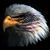 Jim Withrow's profile image