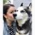 Catherine Reynolds's profile image
