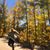Kimberly Cowan's profile image