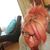 Karissa DeWitt's profile image