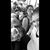 Dustin Willey's profile image