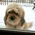 Eddie Dawson's profile image