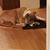 Crissy Jandrew's profile image
