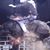 Bernice Phillips's profile image