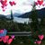 Carolyn Broussard Hamilton's profile image