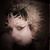 Frankie Goss's profile image
