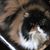 Nancy Helland's profile image