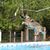 Marianne Johnson's profile image