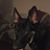 Lisa Johnson Ball's profile image