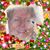 Linda Hayes Austin's profile image