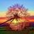 Tonya Fant's profile image