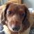 Marcia Furby's profile image