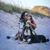 Alline Priamo Pollack's profile image