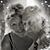 Kathleen Petracco's profile image