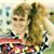 Joyce-n Jerry O'Berry's profile image