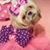 Cathy Penwarden's profile image