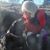 Diana Estes Pomerleau's profile image