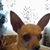 Virginia Olivas Leal's profile image