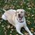 Sandra Lee's profile image