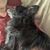 Judy Morgan Shaw's profile image