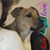 Sheila Algee's profile image
