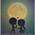 Saira Rojas's profile image