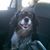 Mark Hurlburt's profile image