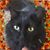 Kelly Shuler's profile image
