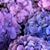JoAnna Rich Skeen's profile image