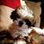 Karen Slaichert's profile image