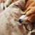 Tracy Jo's profile image
