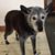 Elaine Kimel's profile image