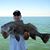 Mike Burstein's profile image
