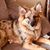 Jill Carlson-Campbell's profile image