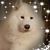 Leah Seman's profile image