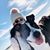 Myra Kosmin's profile image