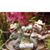Charles Spillar's profile image